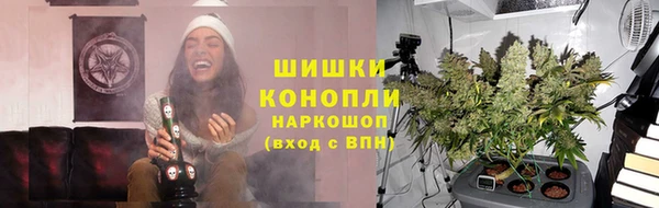 PSILOCYBIN Алексин
