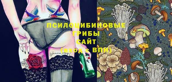 Альфа ПВП Армянск