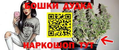 spice Лесосибирск