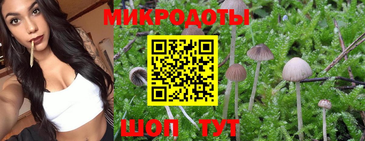 Обнинск  Галлюциногенные грибы Psilocybine cubensis  Вход с VPN  Псилоцибиновые грибы ЛСД 